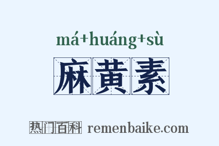 麻黄素是什么意思的图片